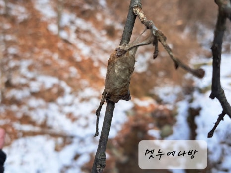 에코숲이야협동조합 이미지