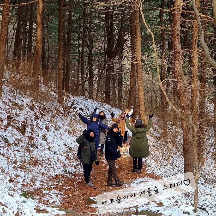 에코숲이야협동조합 이미지