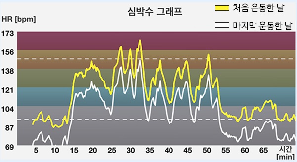 올드스쿨짐 이미지