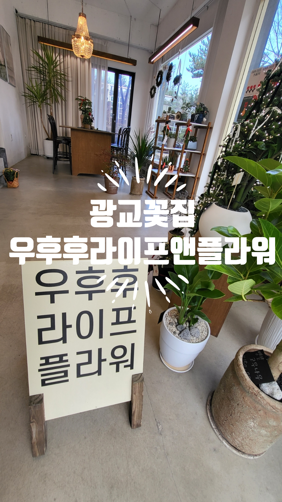 우후후라이프앤플라워 이미지