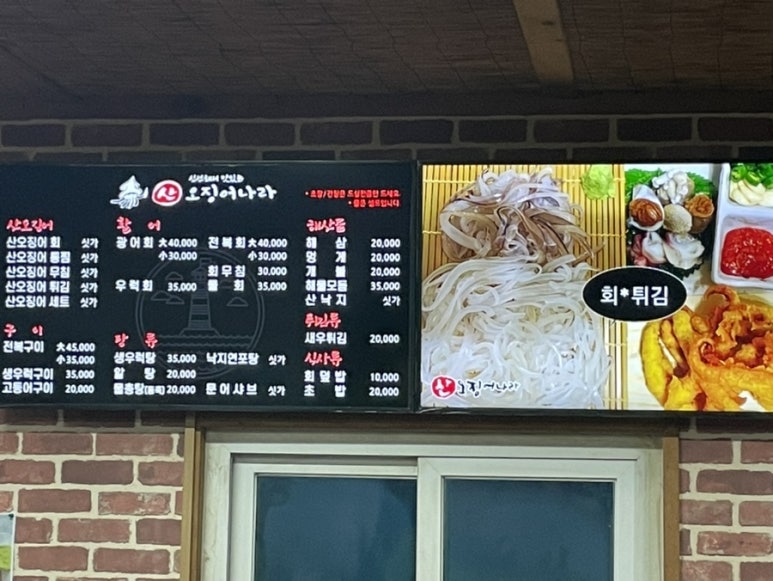 산오징어나라 이미지