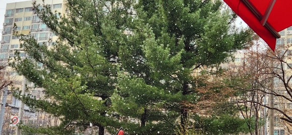수피르 이미지