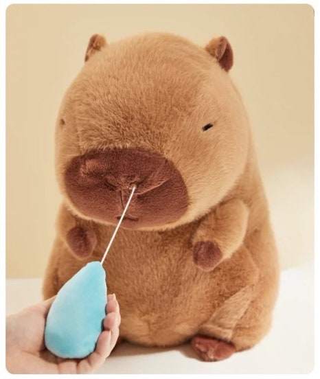 유일한계절 이미지