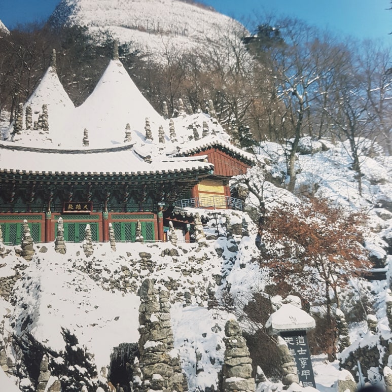 천안운수 이미지