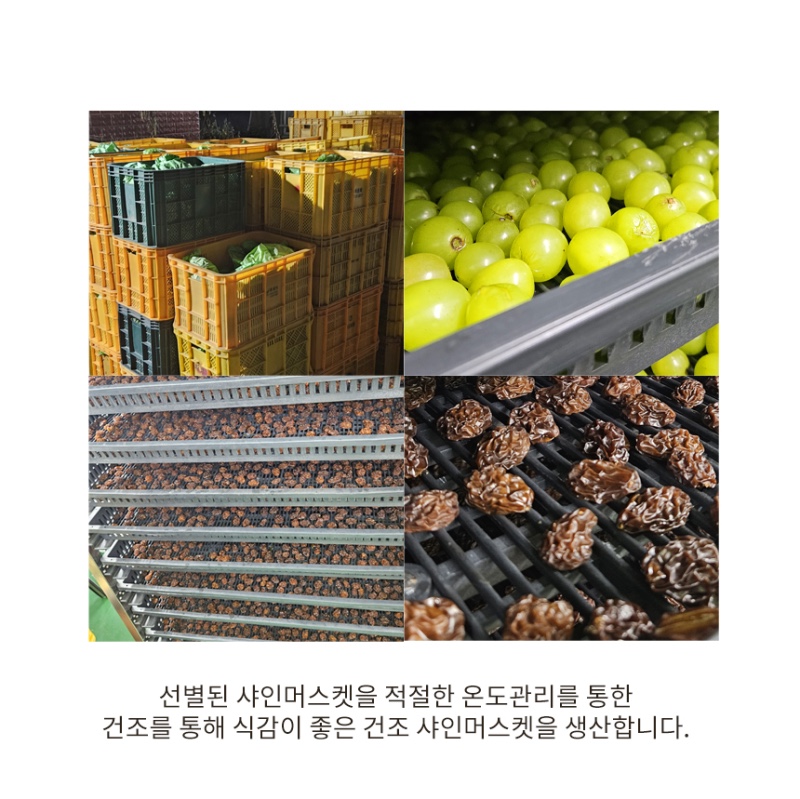 마켓이루팜 이미지