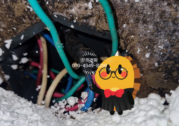 무지개전기조명 이미지
