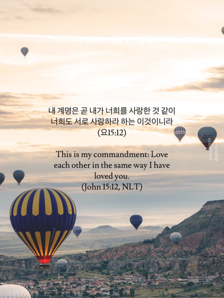 원우소방 이미지