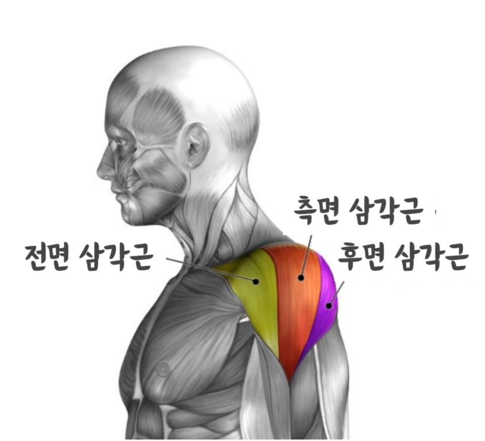 광교PT헬스온워드짐 이미지