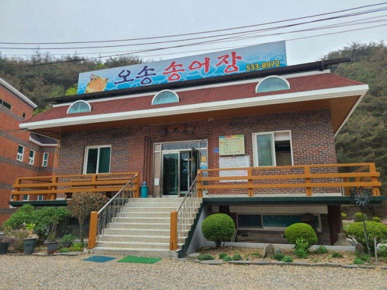오송송어장 이미지