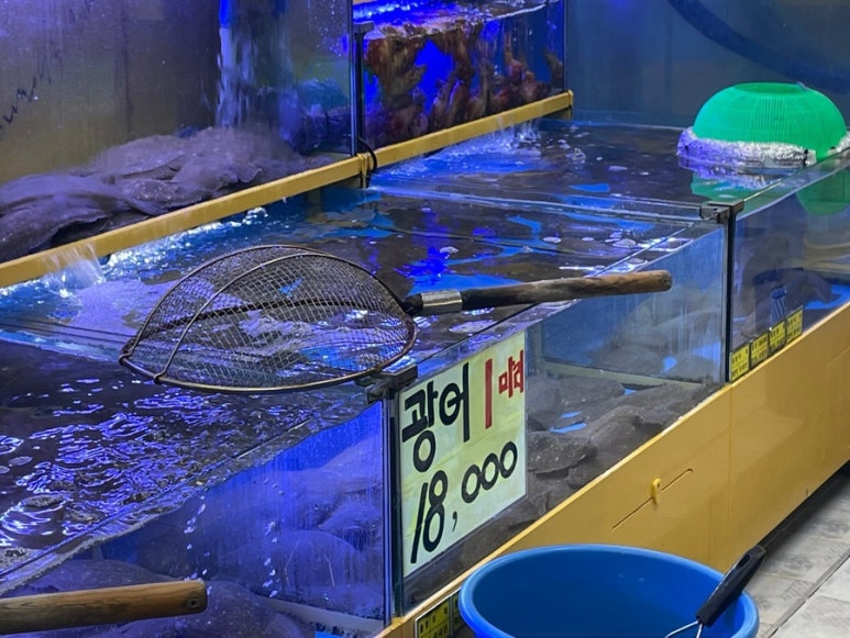 광어1마리 18000 이미지