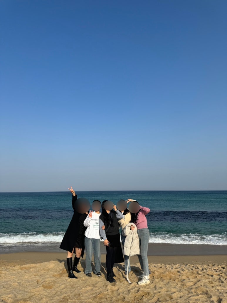 다래투 이미지