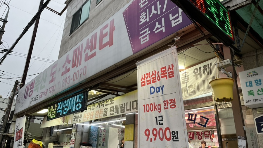 레드피그 이미지