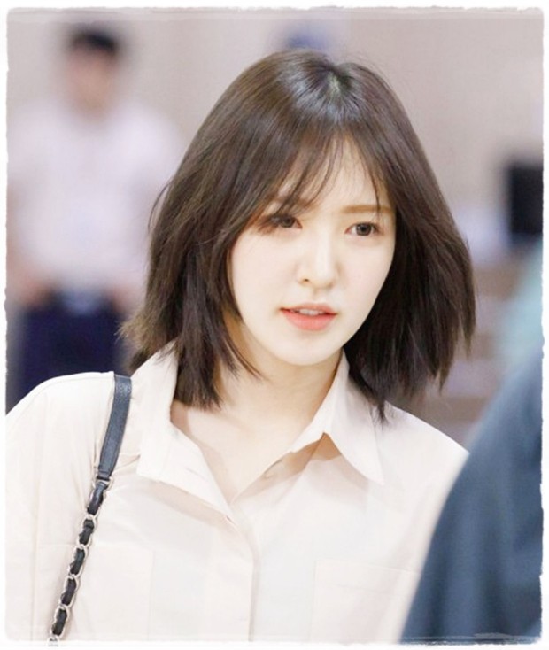 로이헤어 이미지