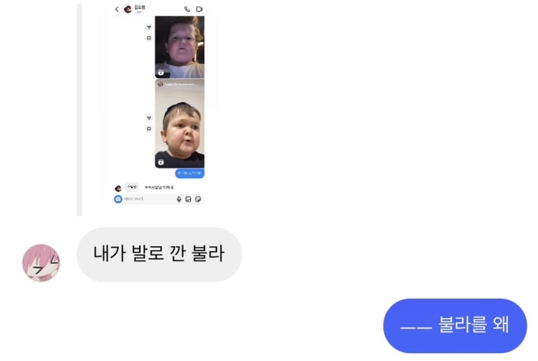 다영황 이미지