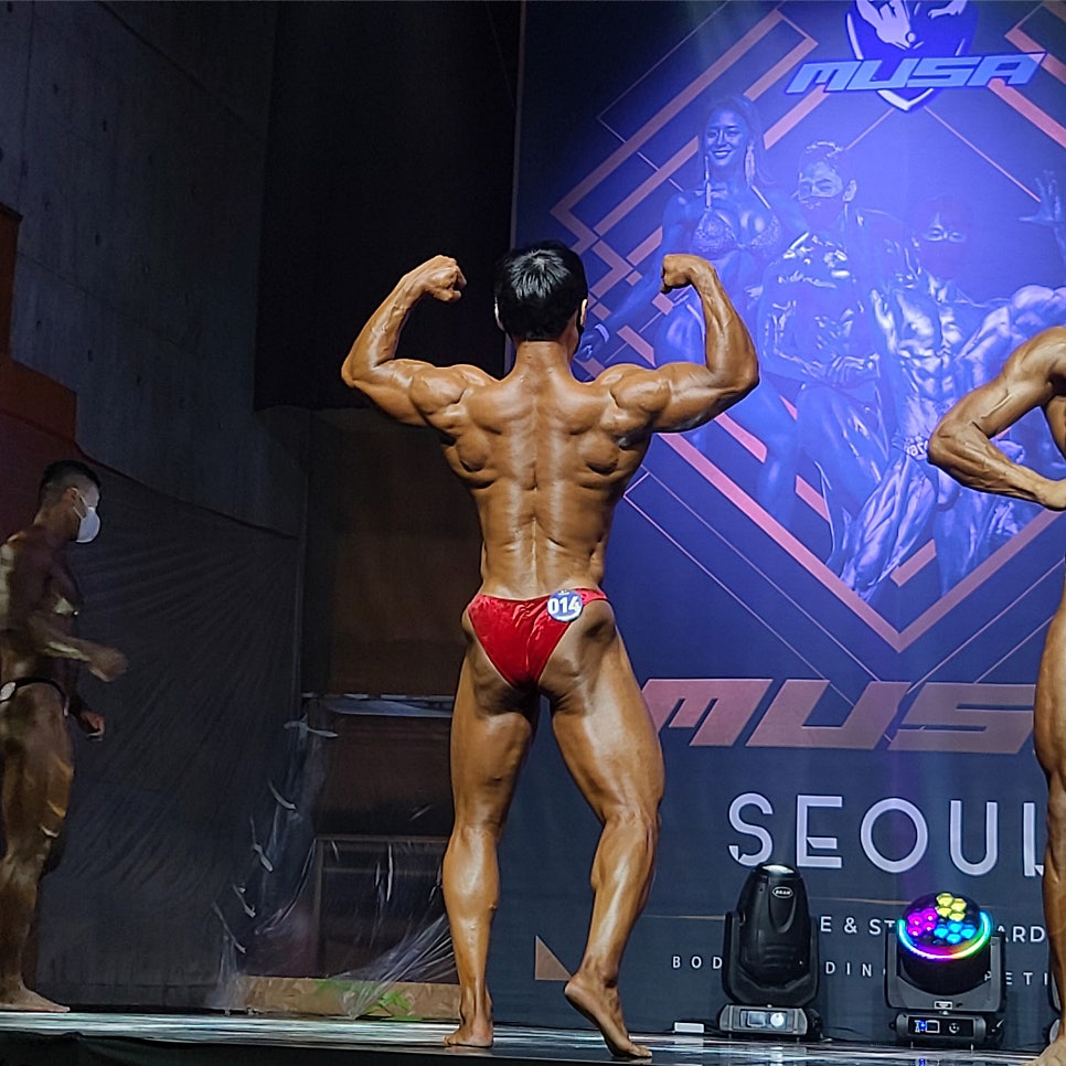 디노짐 이미지