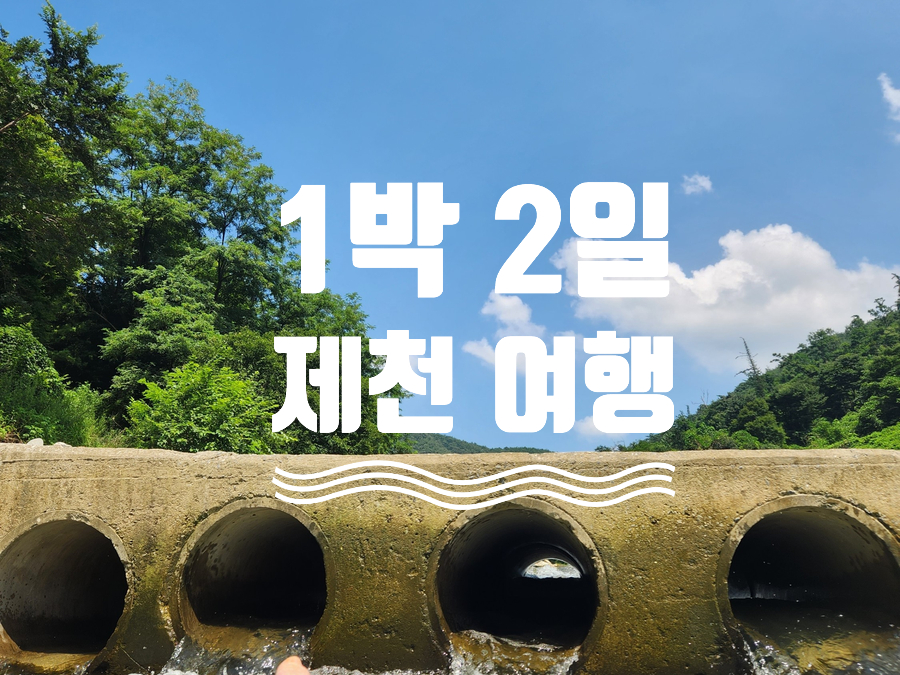 제천대로셀프주유소 이미지