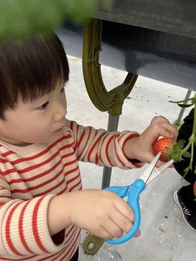 (주)더힐링팜 이미지