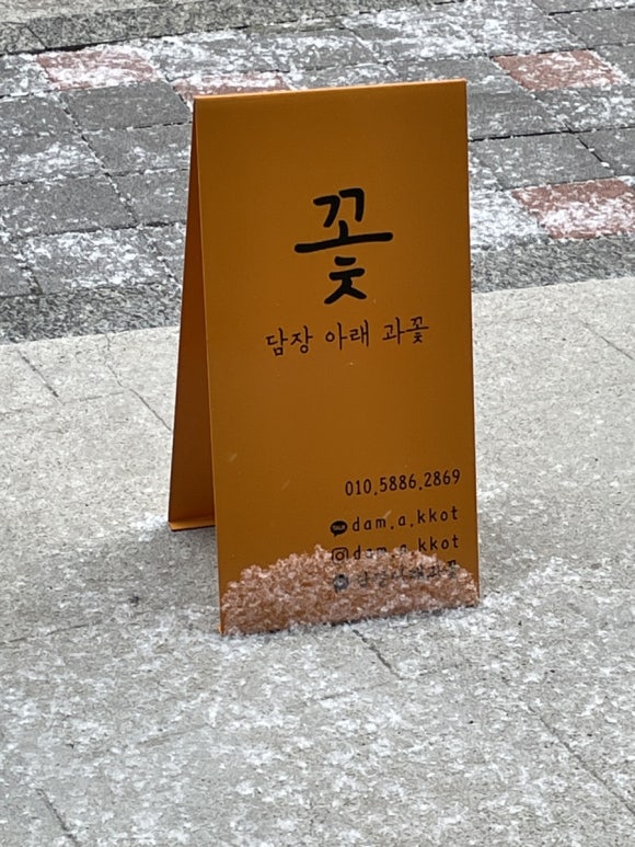담장아래과꽃 이미지