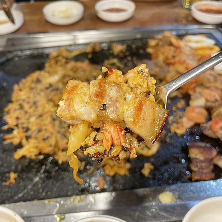 탐라제주도야지 이미지
