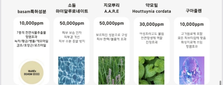 더뉴런 이미지