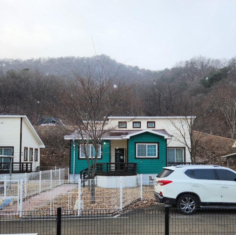 초성애니멀와 이미지