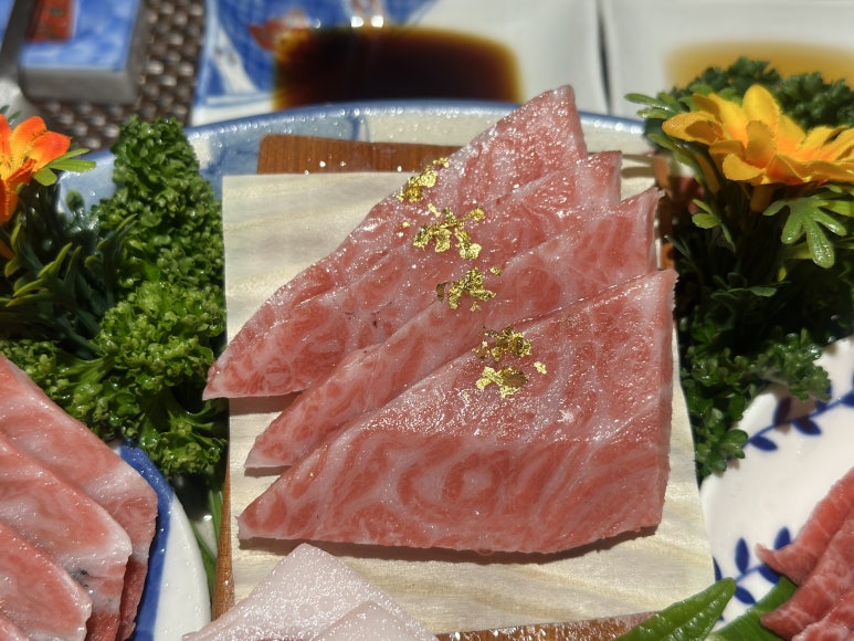 피지참치 이미지