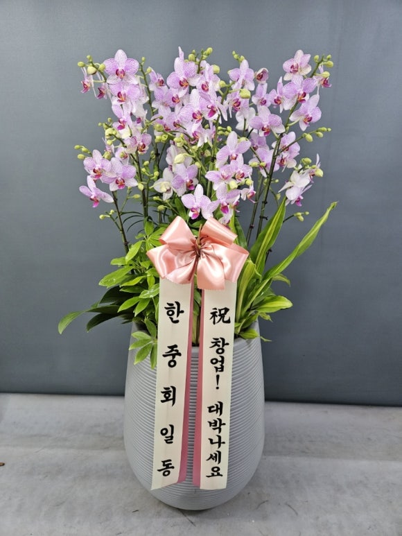 마곡꽃광장 이미지