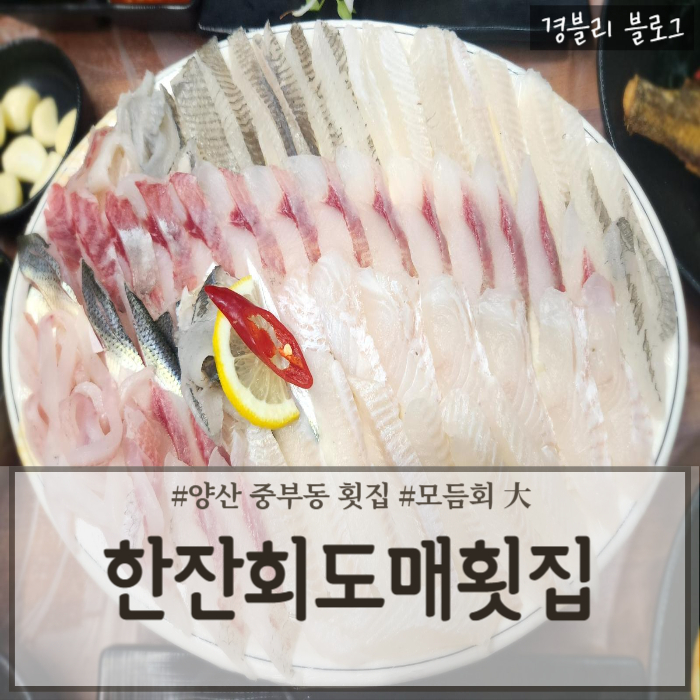 한잔회도매횟집 이미지