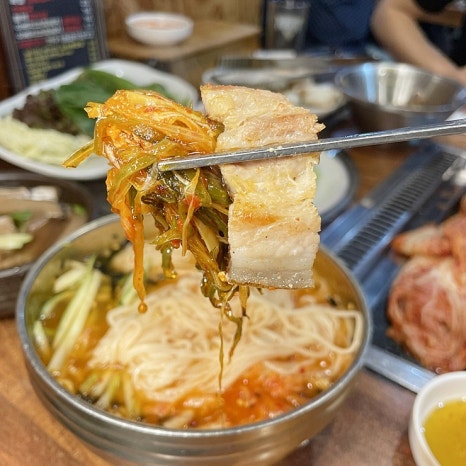 탐라도야지 이미지