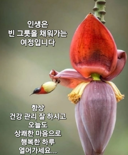 행복한하루 이미지