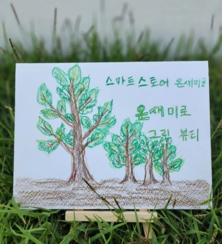 피누스스토어온새미로 이미지