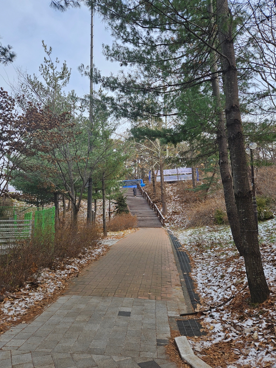 서울대76동나인온스버거 이미지