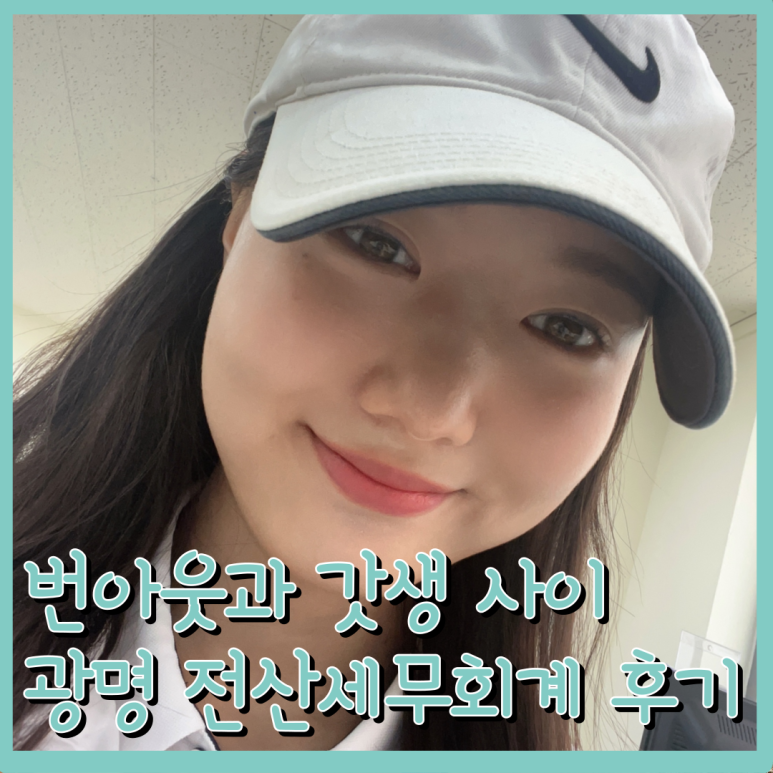 다올세무회계 이미지