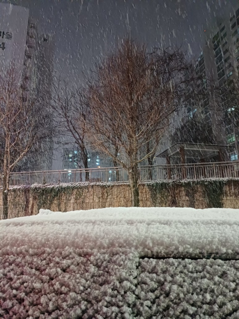 뉴요커피자운남수완점 이미지