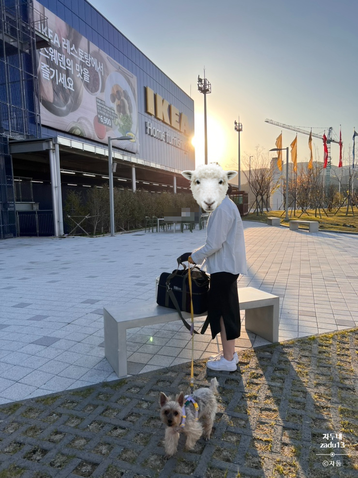동울산가방 이미지