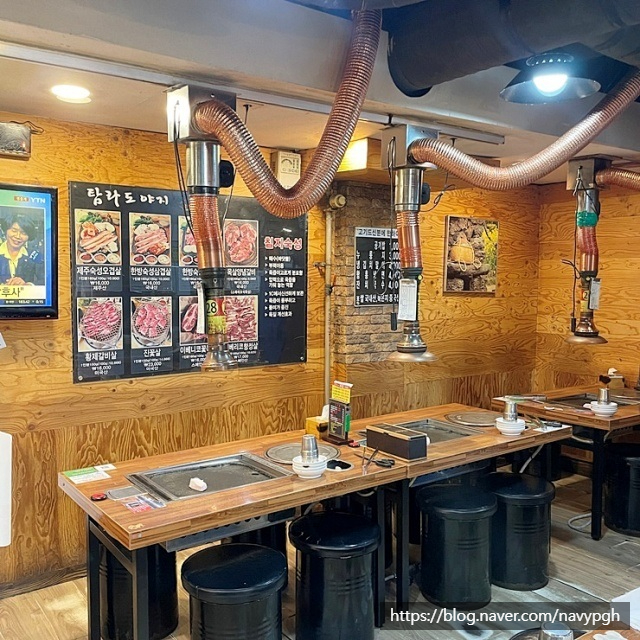 탐라제주도야지 이미지
