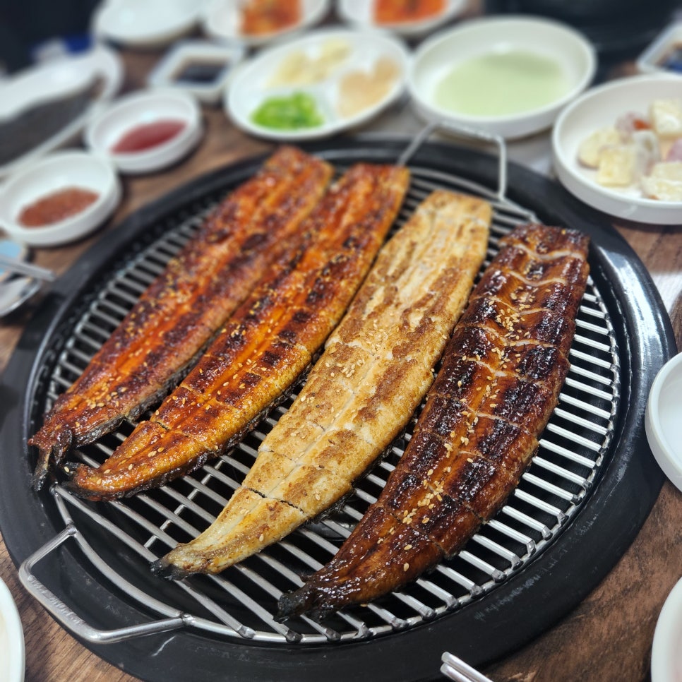 풍천복장어 이미지