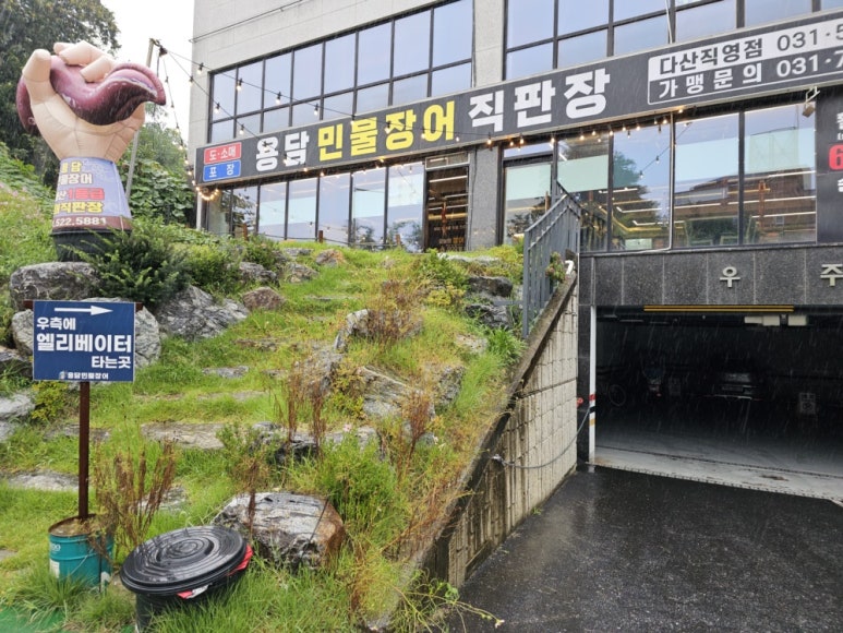 현대장어 이미지