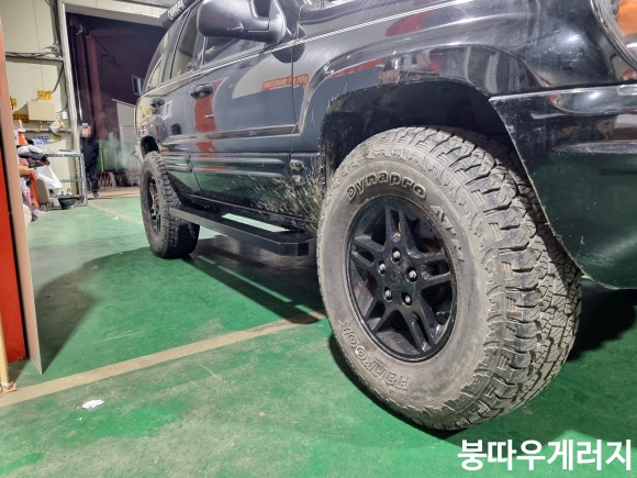 붕따우게러지 이미지