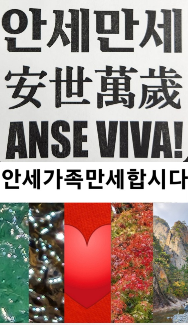 세무법인창조 이미지