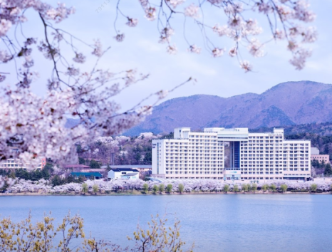 노블회원권거래소 이미지