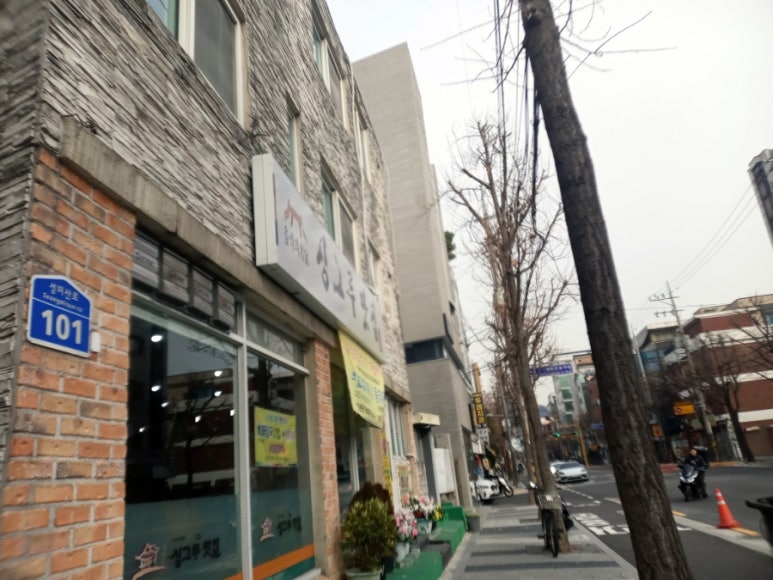 싱그루 이미지