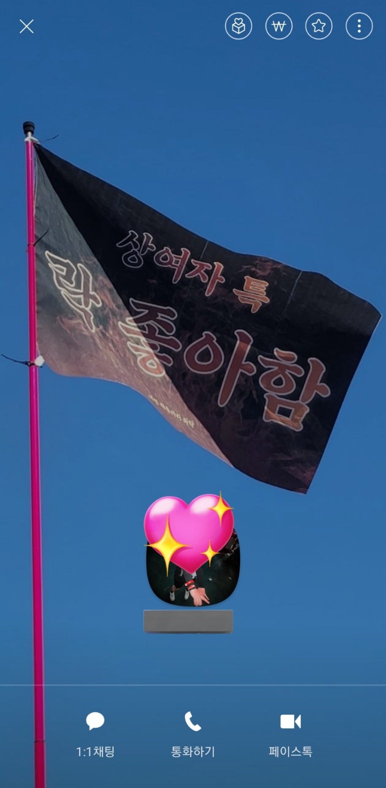소닉메이트 이미지