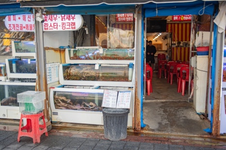 누나포차 이미지