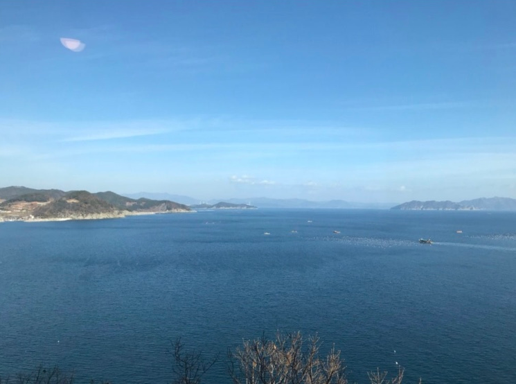 분재전통다원 이미지