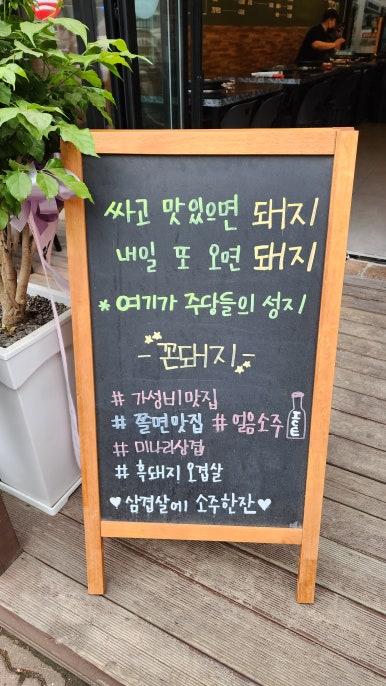 꼰돼지 이미지