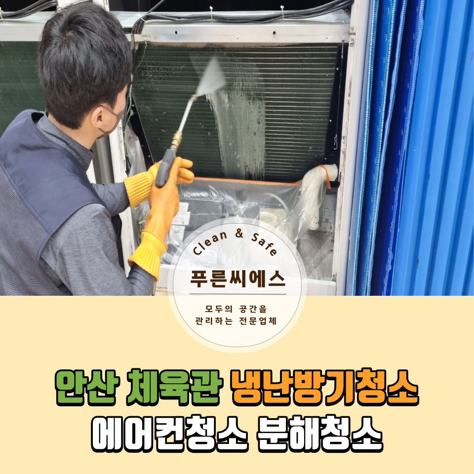 푸른씨에스 이미지