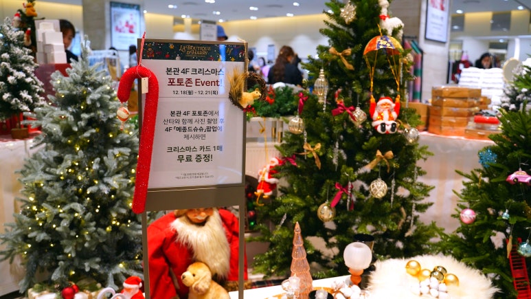메종드슈슈 이미지