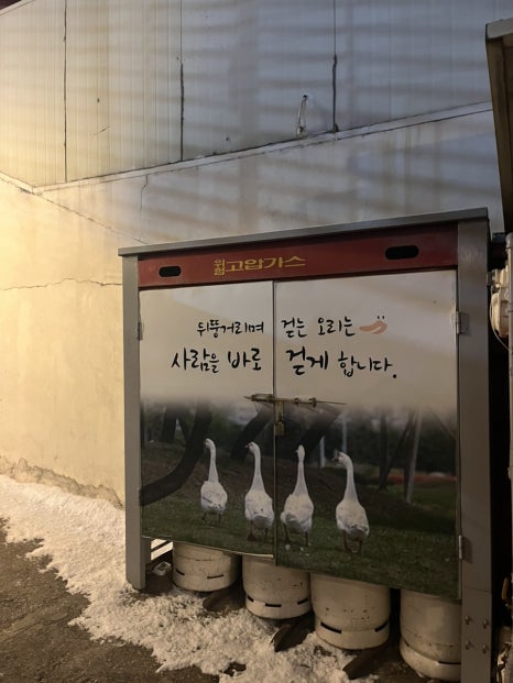 황금오리맛집 이미지