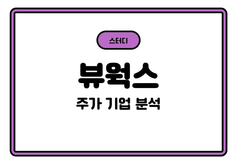 주식회사 레이시스 이미지